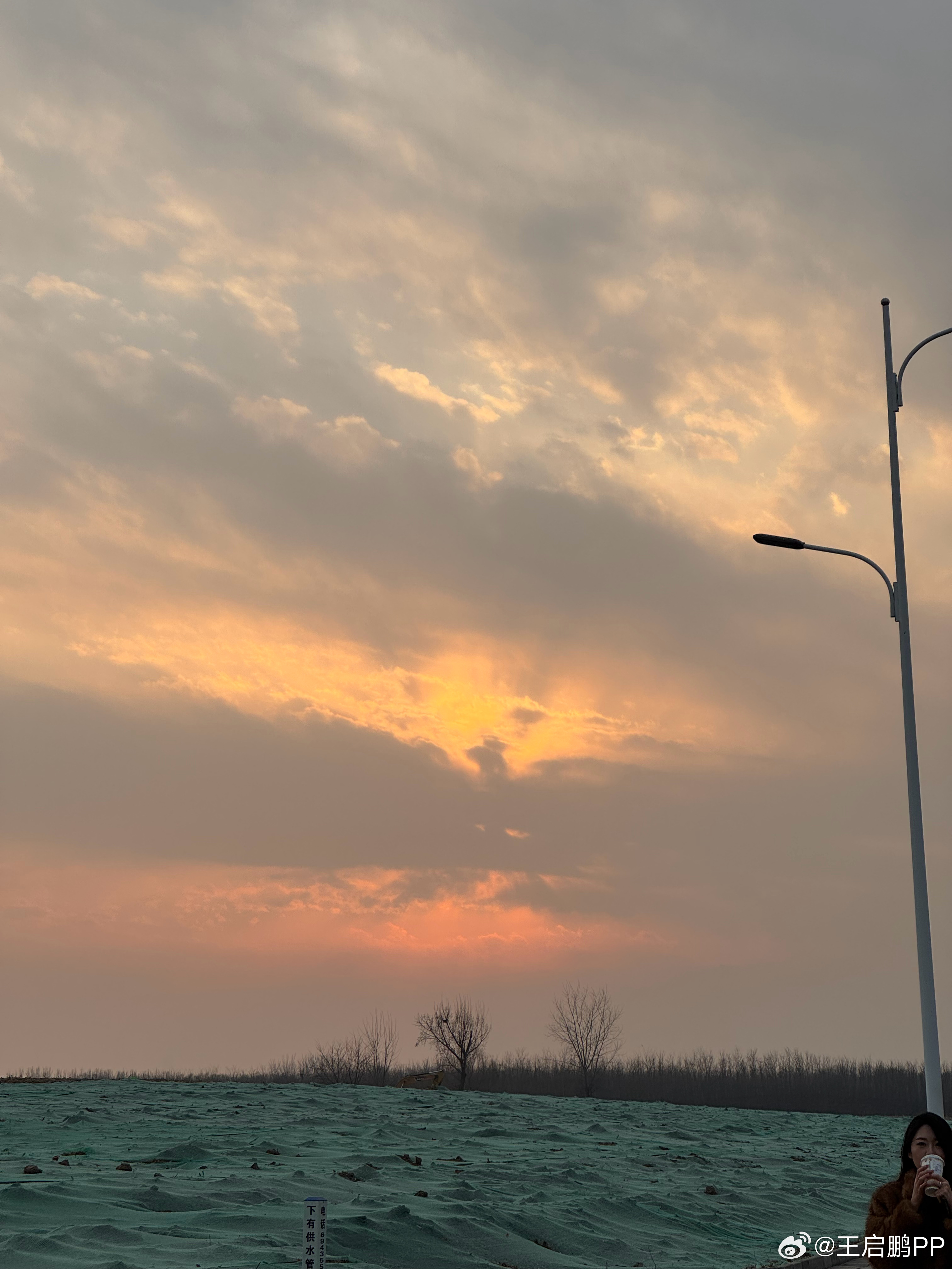 拍到凤凰了，像不像