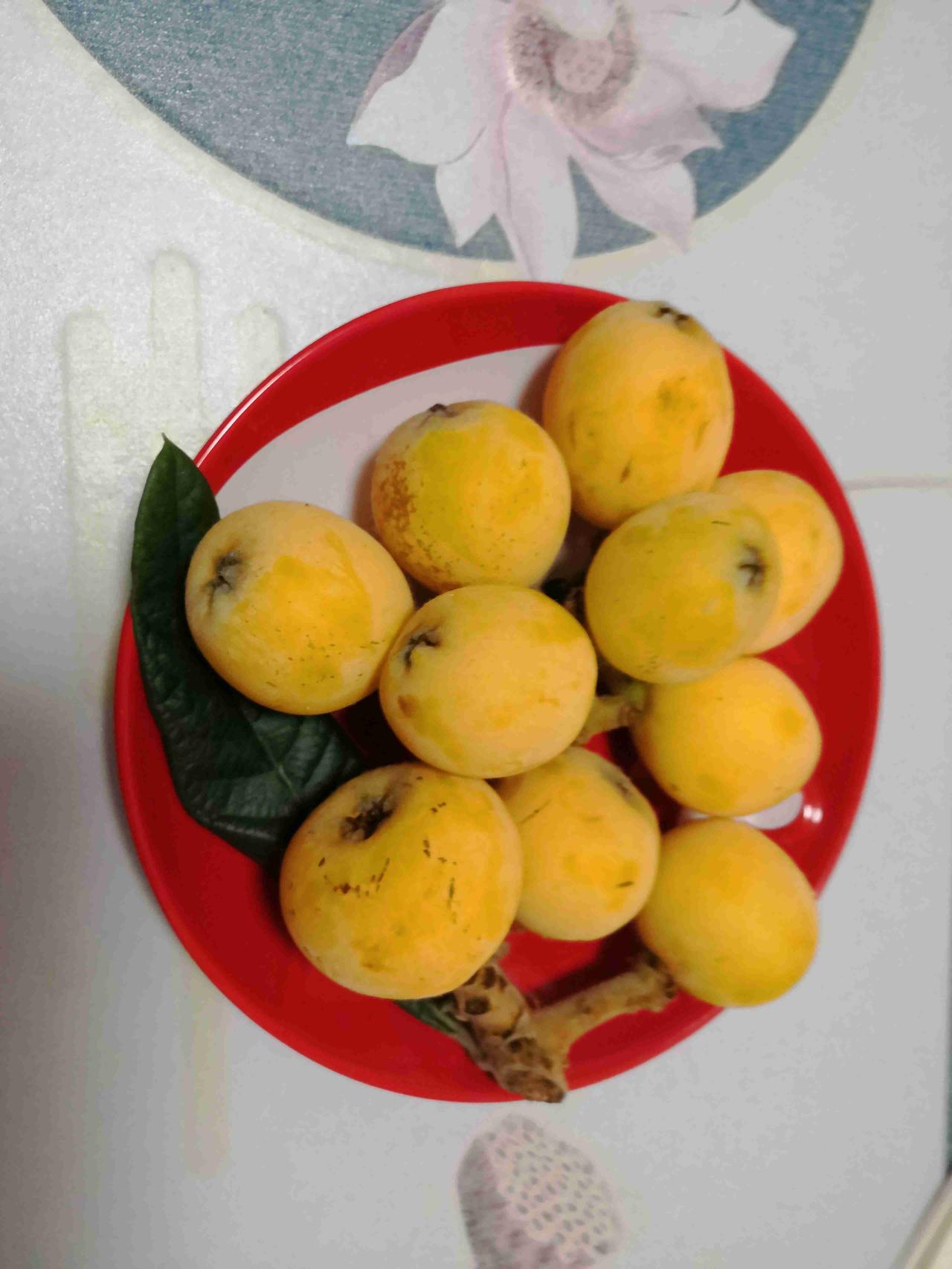 昨天晚上，老公下班带回来一大筐枇杷，足足有10来斤重，是一个浙江象山的同事送的，