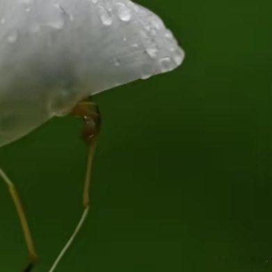 哲思呓语 上帝并不会眷顾你，生活也不会同情你，别奢望会有奇迹，也别指望任何人。你