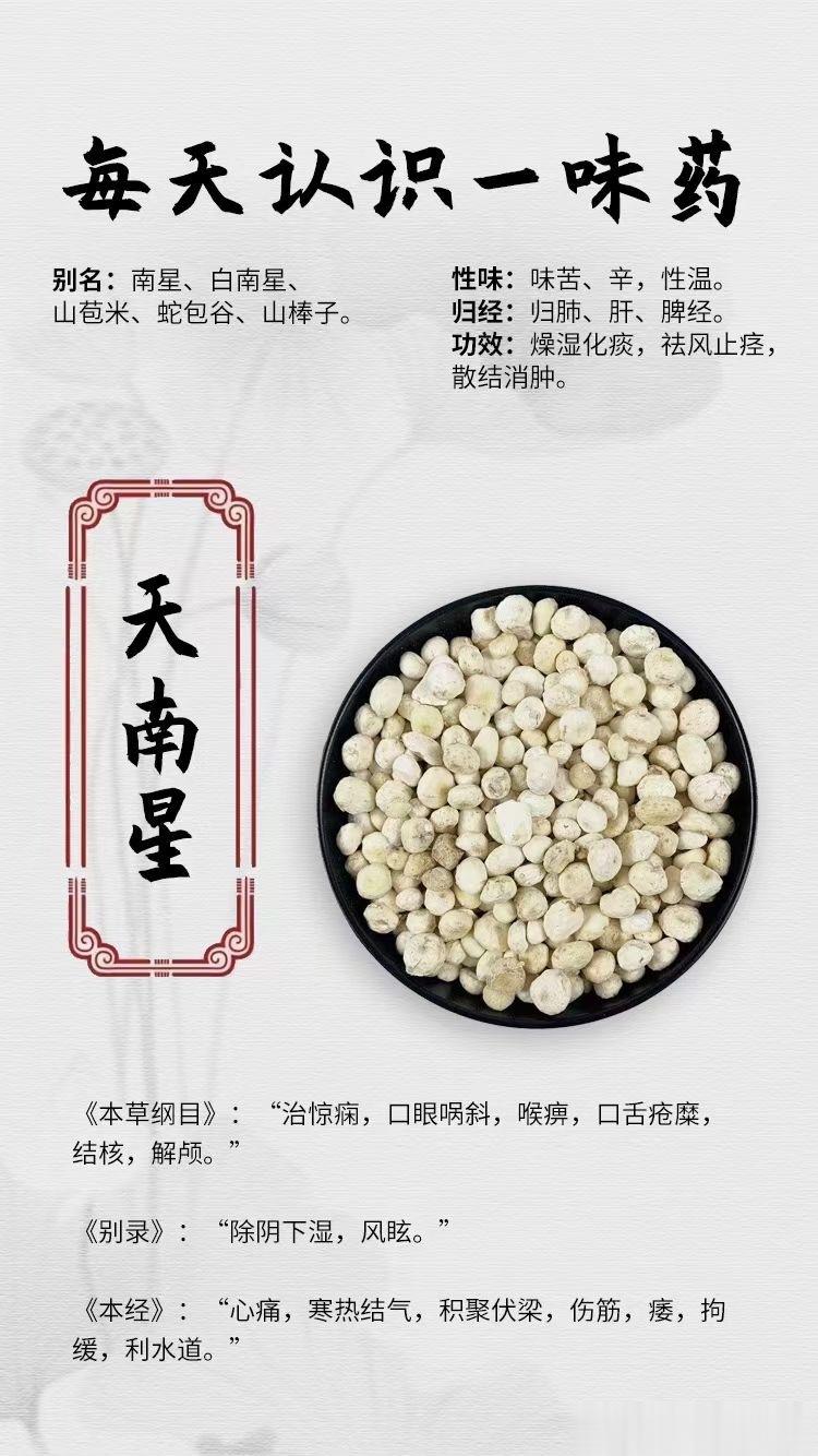 #国医的精诚力量##每天一味中草药##论道岐黄# ☘️【每天认识一味药】[鲜花]
