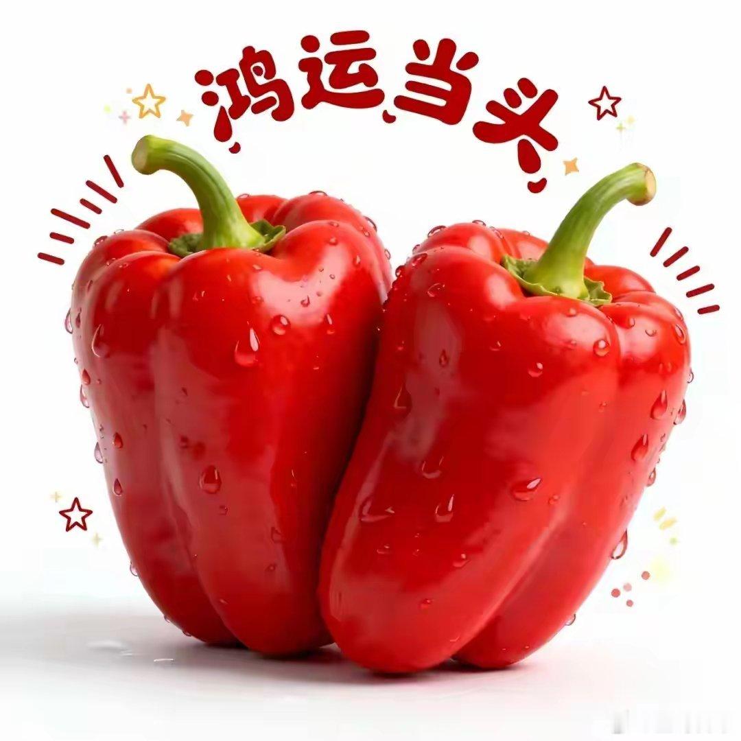 花有花期，人有时运；怀爱与诚，花开可期。 