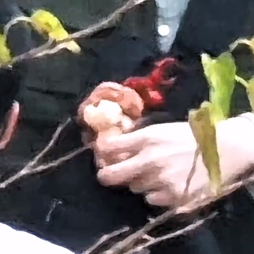 年轻时候有如珍如宝狗儿们，钉妹儿老了只有一个小小的玩偶放心口带着了