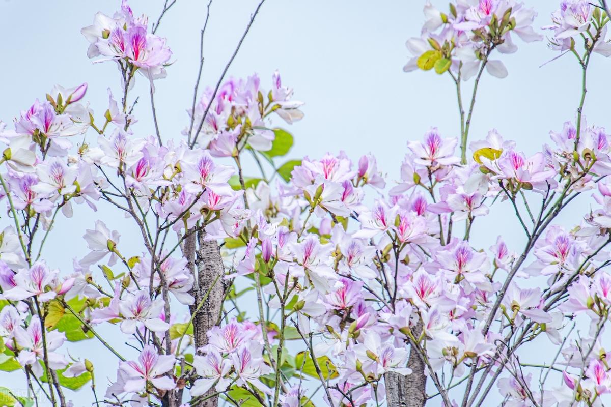 没必要让所有人知道真实的你，或者是你没有必要不停地向人说其实我是一个什么样的人。