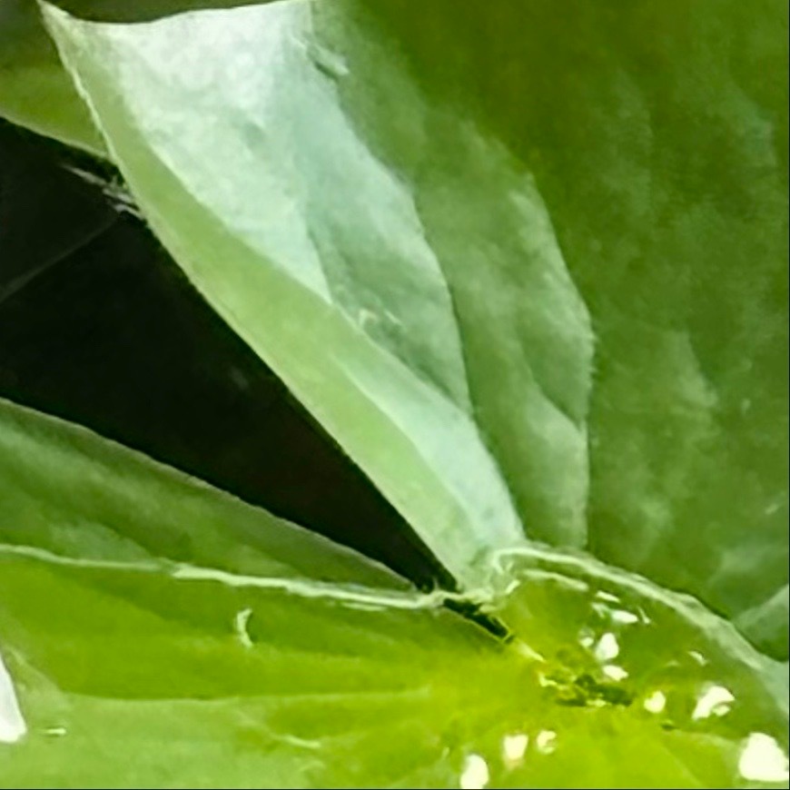 世间事，人生情，看开随意，看淡无虑。心若不在，何必强求；人若不爱，何必强留。学会