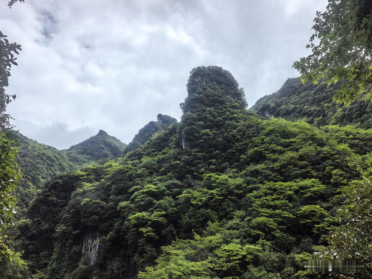 在重庆涪陵区的大山里，有一座山峰形状独特，像不像一只大猩猩？