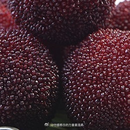一、杨梅（最适合宁波）1. 气候土壤• 气候：温暖湿润、怕严寒，-5℃以下易冻伤