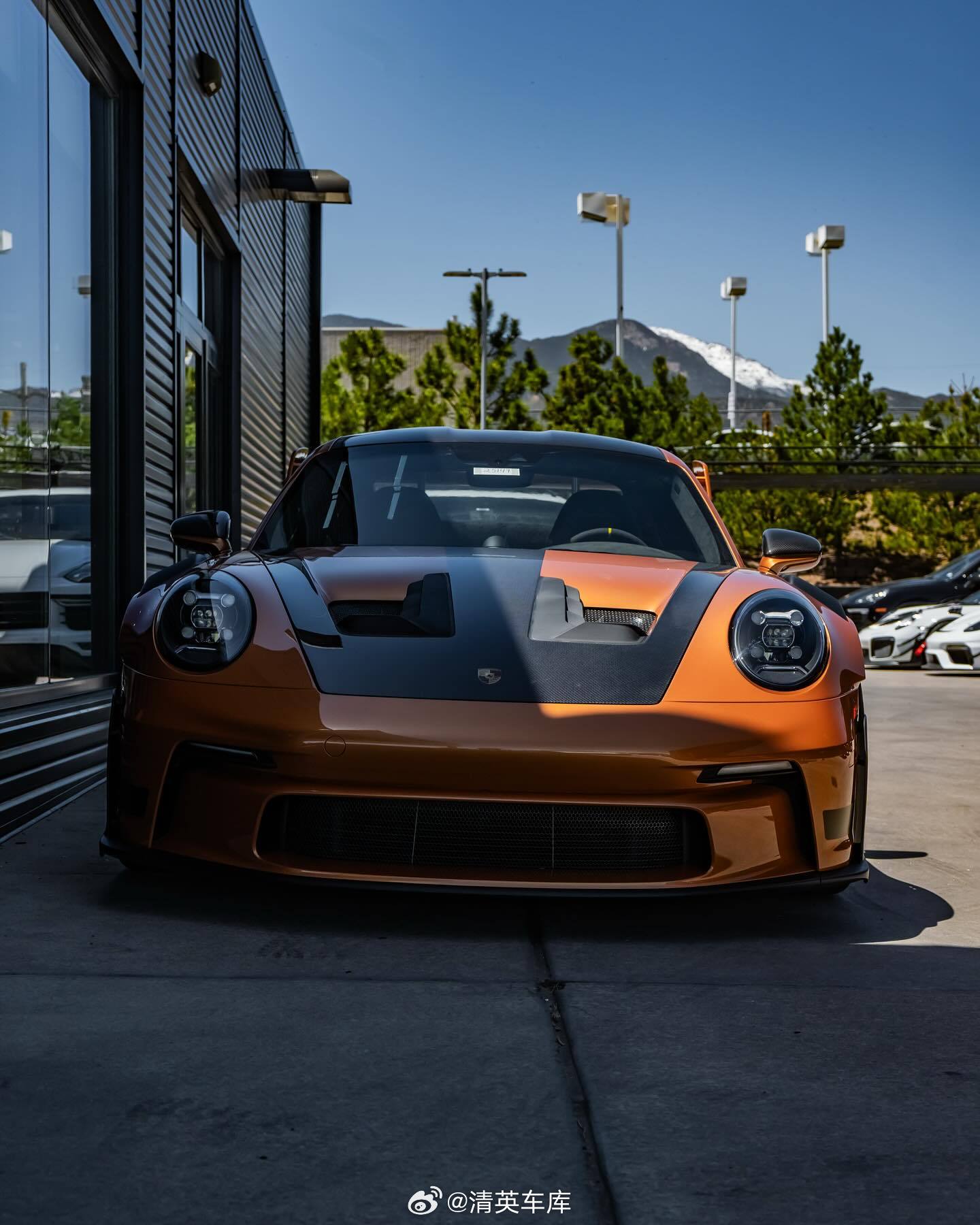 Porsche 911 GT3 RS PTS Nordic Gold Metal