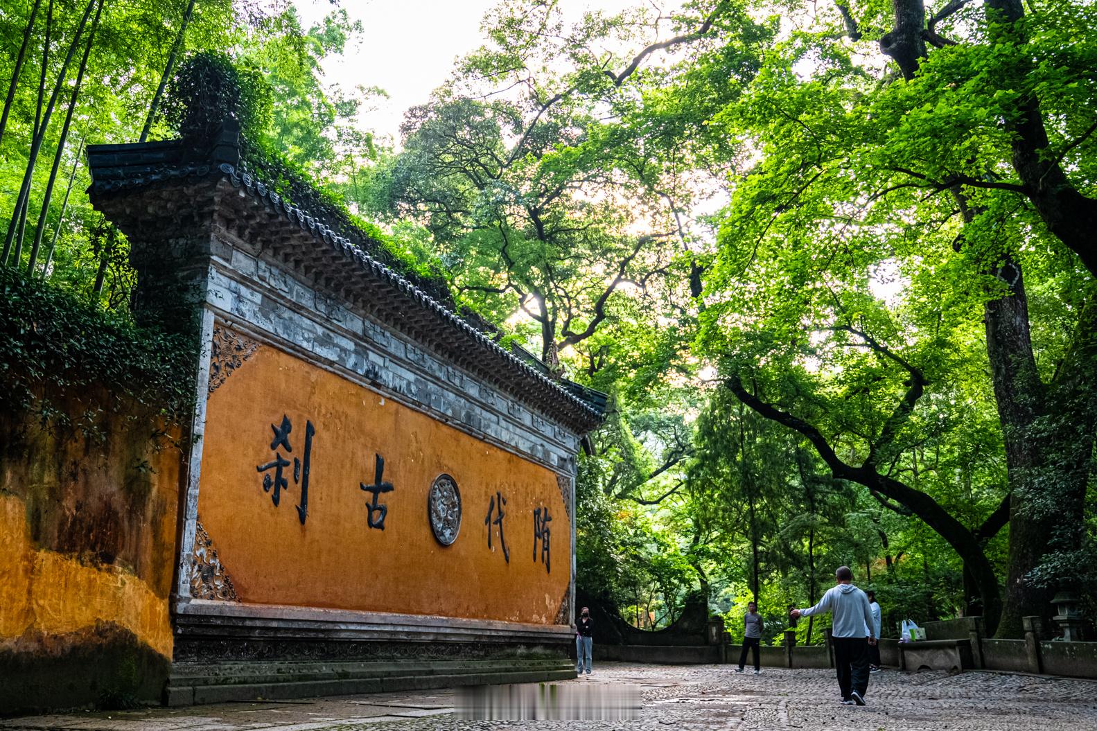 下榻的地方与国清寺隔一条马路，早晨寺门还没有开，沿赭溪走半圈，林间的清风，树梢的