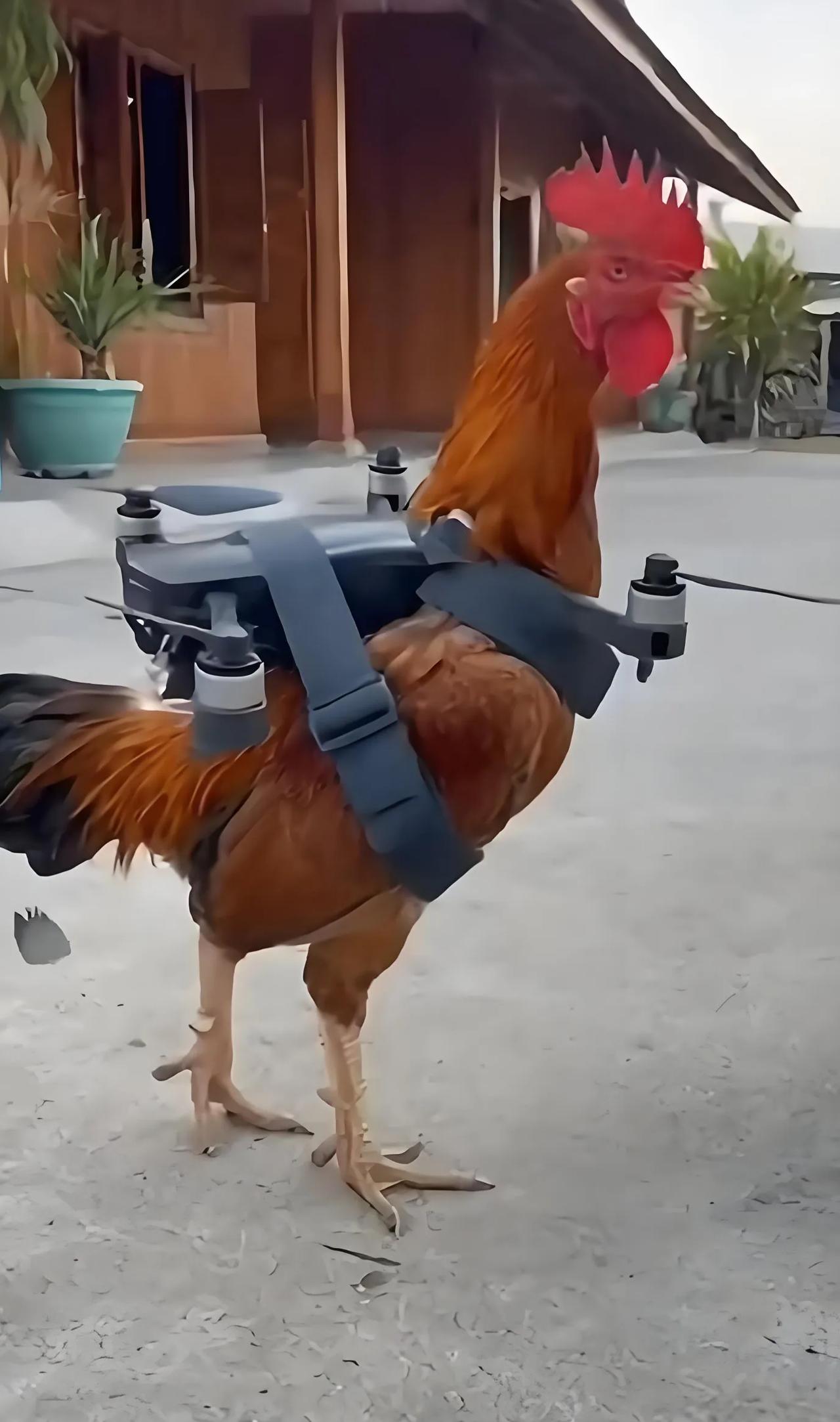 造了一架飞机，准备试飞一下，看看效果怎么样？[呲牙]