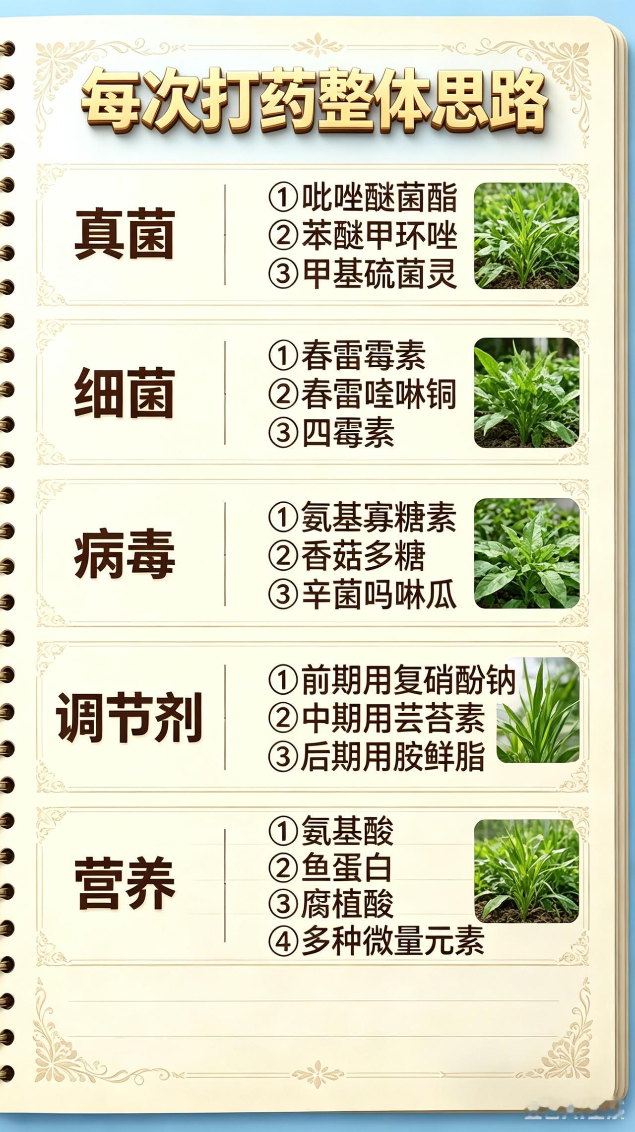 三农种植 病虫害防治 农资经销 杀菌剂