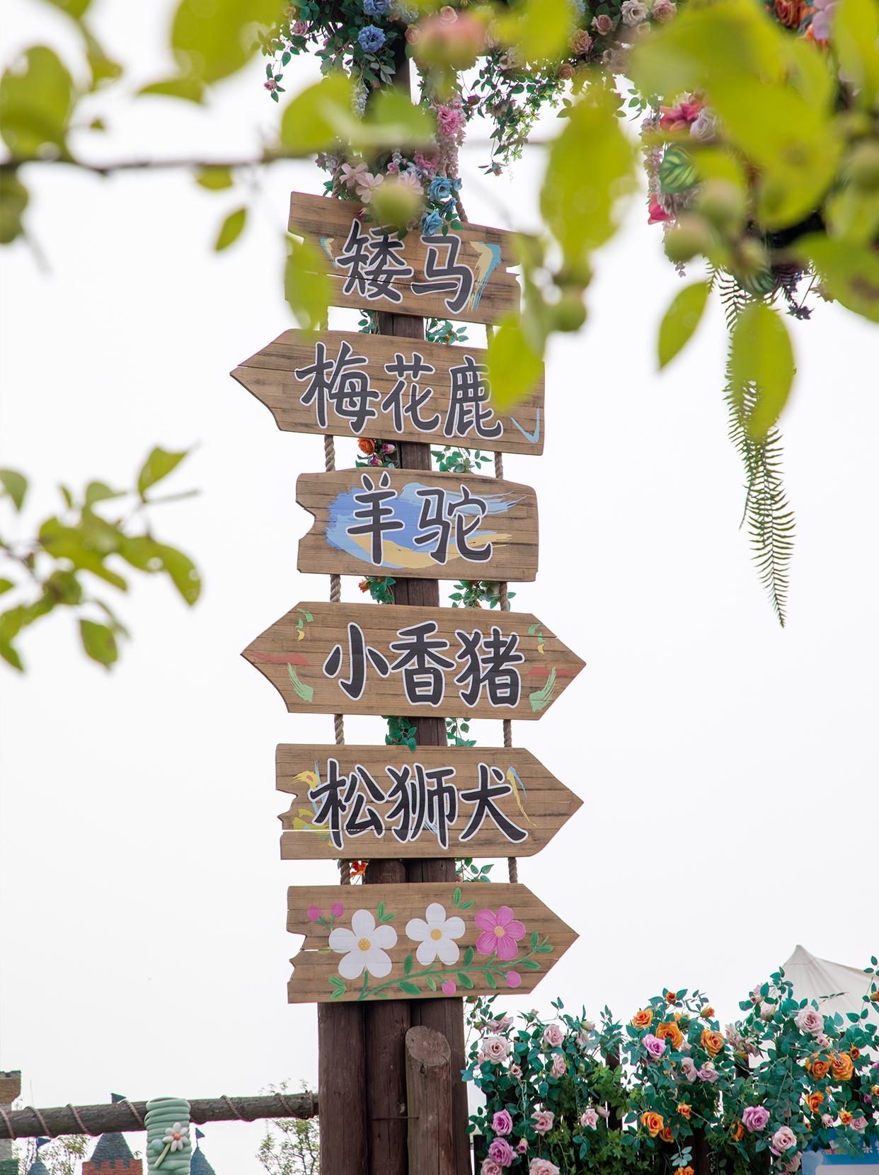 推荐暑假合肥人游玩地：云朵梦庄园