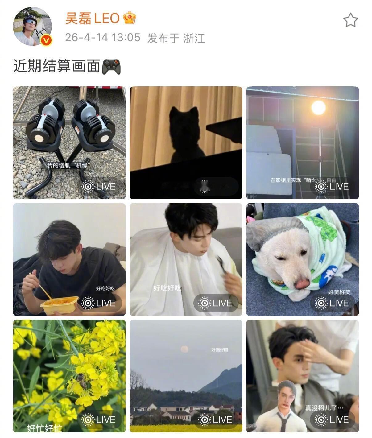 当吴磊久违地上传生活碎片 