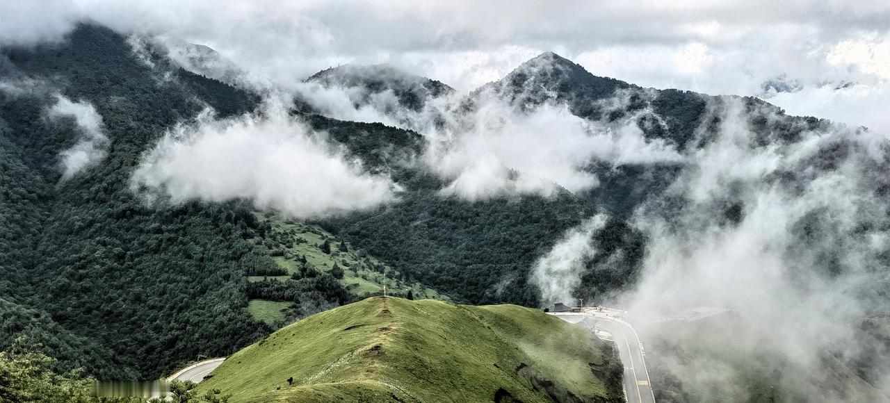 云雾缭绕山间路，青翠欲滴入画来。