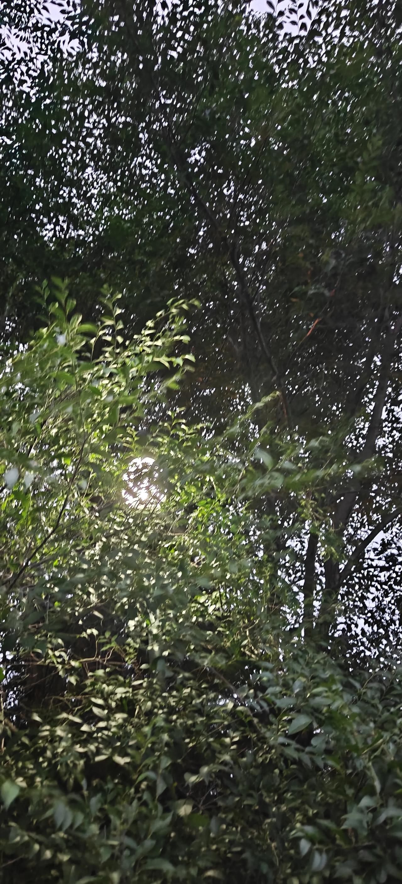 这可是真贵啊！

今天去给孩子邮鞋，带了一个剃须刀，不到四斤，花了二十元。

这