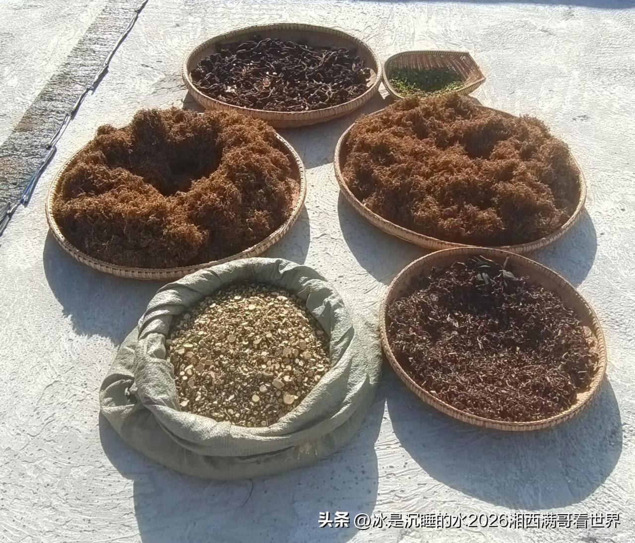 几十斤的金银花，晒干了就剩这么点。传统中医金银花有一定医药效果，可以解毒排毒，还