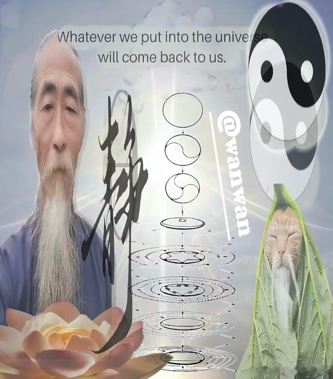 1139我的理想形象 