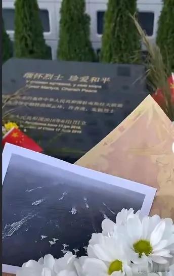 塞尔维亚贝尔格莱德之思：双航母战斗群与历史的对话

在塞尔维亚首都贝尔格莱德，1