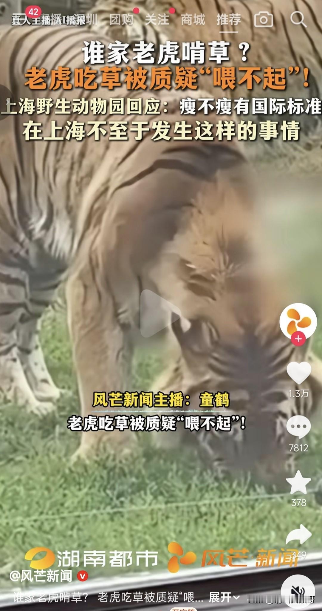 真搞笑，瘦不瘦还国际标准。
养老虎我是不会，但是动物世界我是从小看到大的，没看到