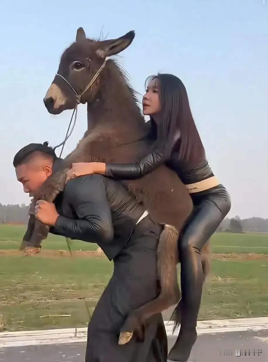 这就是心疼老婆又心疼驴的下场[泪奔]