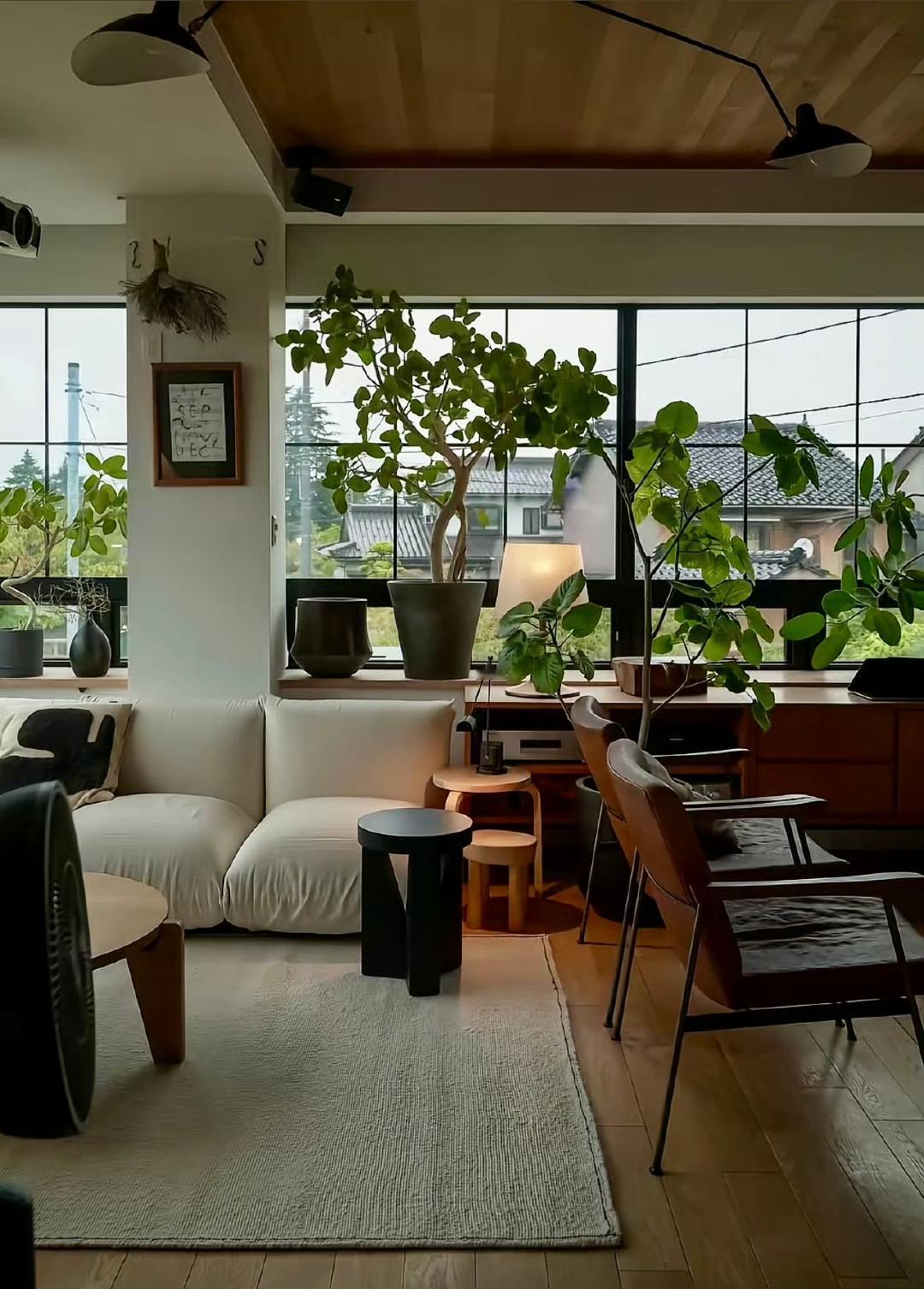 自然系 🌿
治愈的家  🏠  ​​​