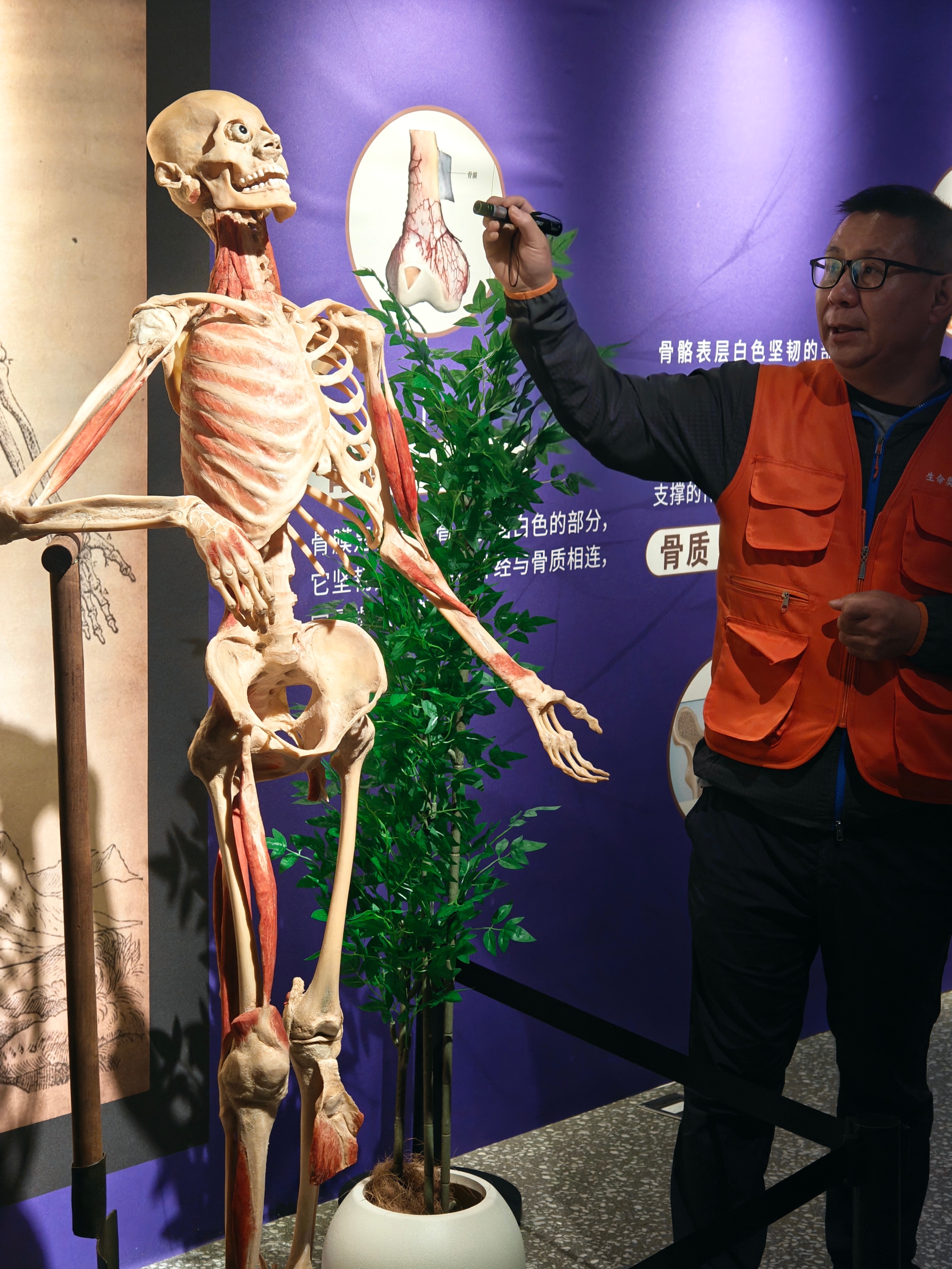 周末去看了一下生命奥秘博物馆🏛看完了，感觉自己有点忧郁…因为几乎每一个大体老师
