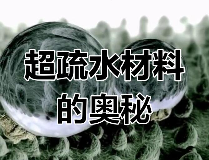 🐟下雨天再也不怕湿身！中国科学家造出“弹尾虫”神衣，无氟更耐用！
还在为冲锋衣