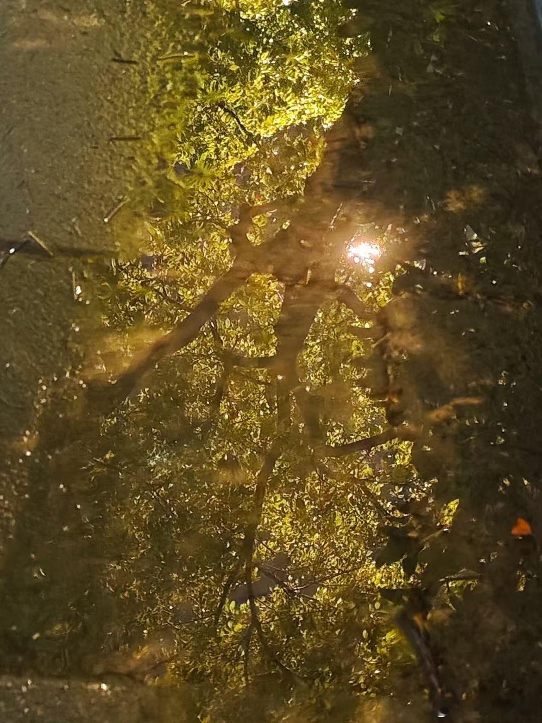 cv天空 亲爱的天空空：冷雨夜，最适合干嘛？对的，我睡觉觉去了哦晚安安啦，明天咱