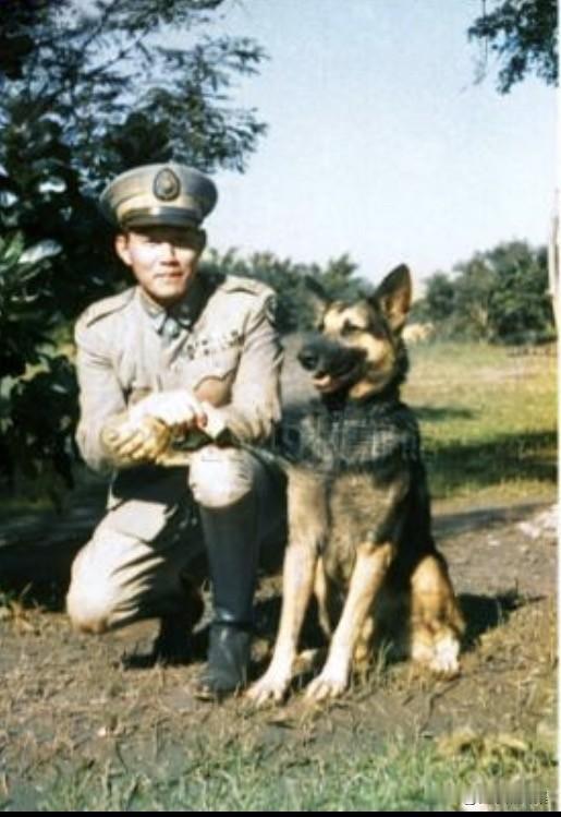 孙立人与爱犬DICK在南京的合影。孙立人特别爱狗，即便在1955年被软禁后，仍在