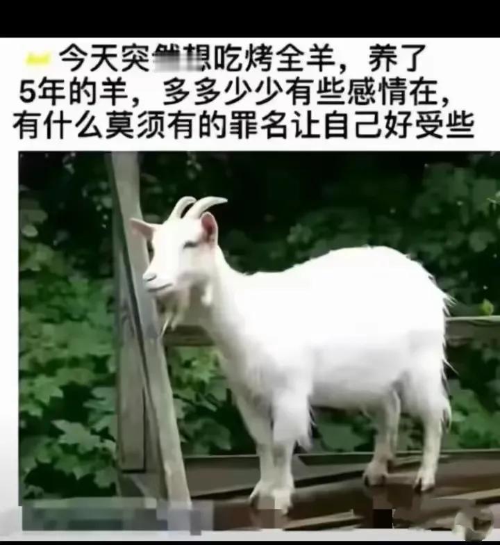 羊：世上怎会有如此卑鄙无耻的人，是爷们就给我个痛快。

#搞笑段子#