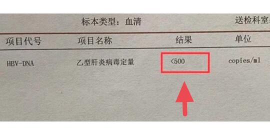 上午接诊的一位乙肝患者，坚持抗病毒10多年了，病毒也已经转阴，却还是发...