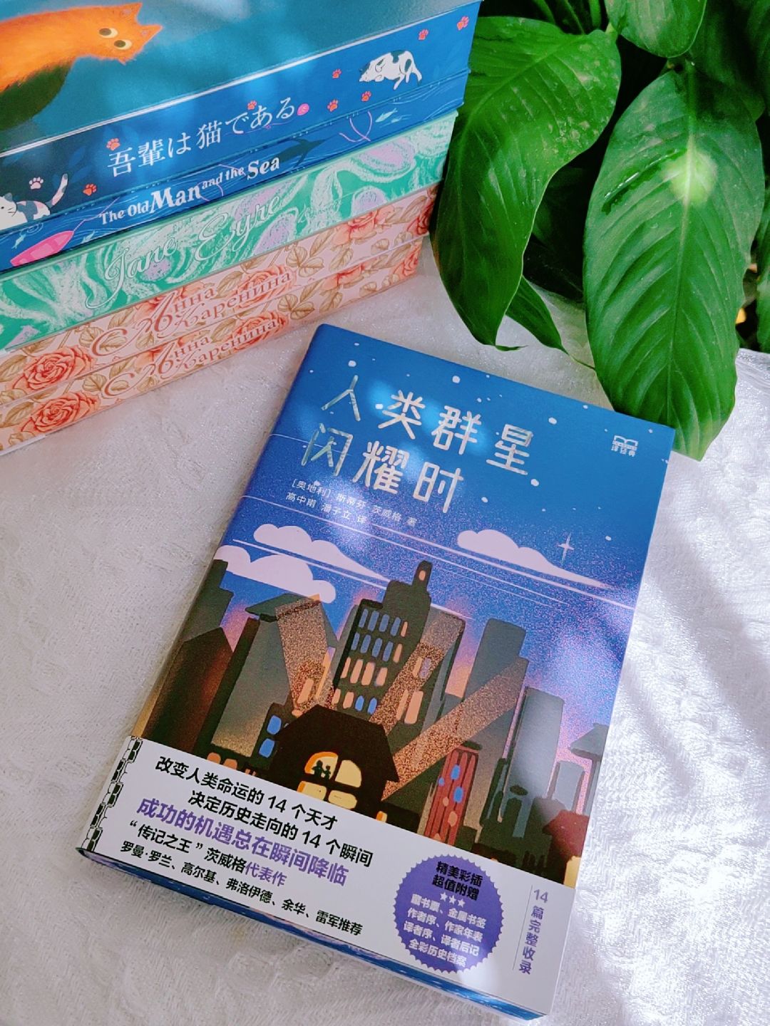 译经典｜如果拿破仑在滑铁卢赢了的话…