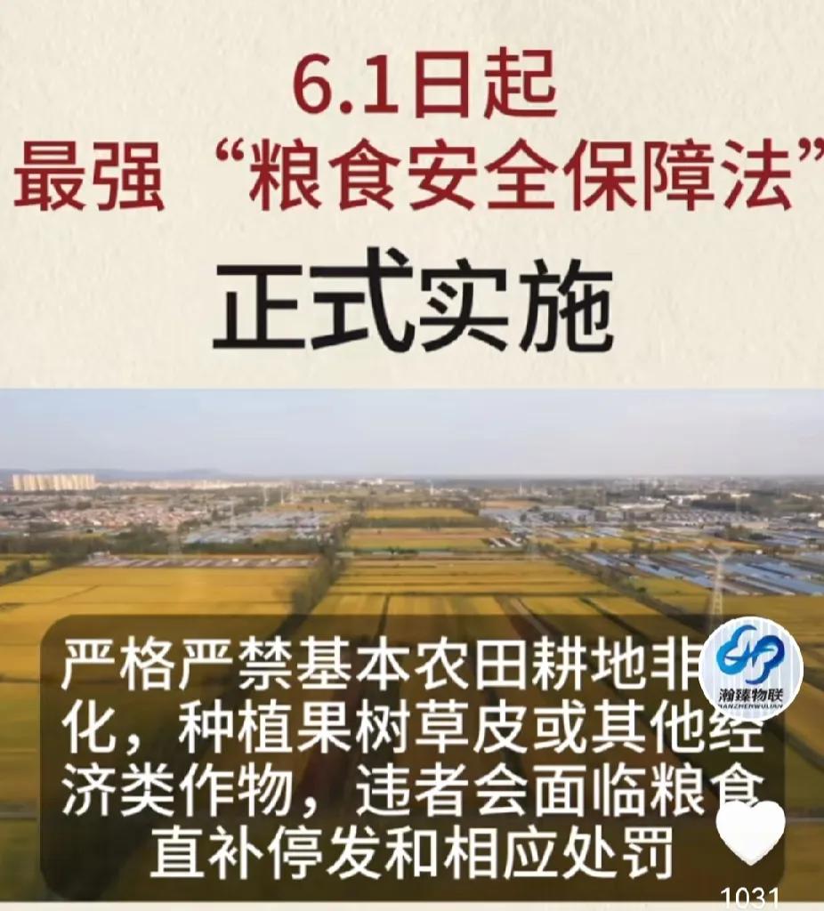 外围入场资金，主要投指数基金，靠量化交易割麦子，机构依然可做空，存量资金在博傻，