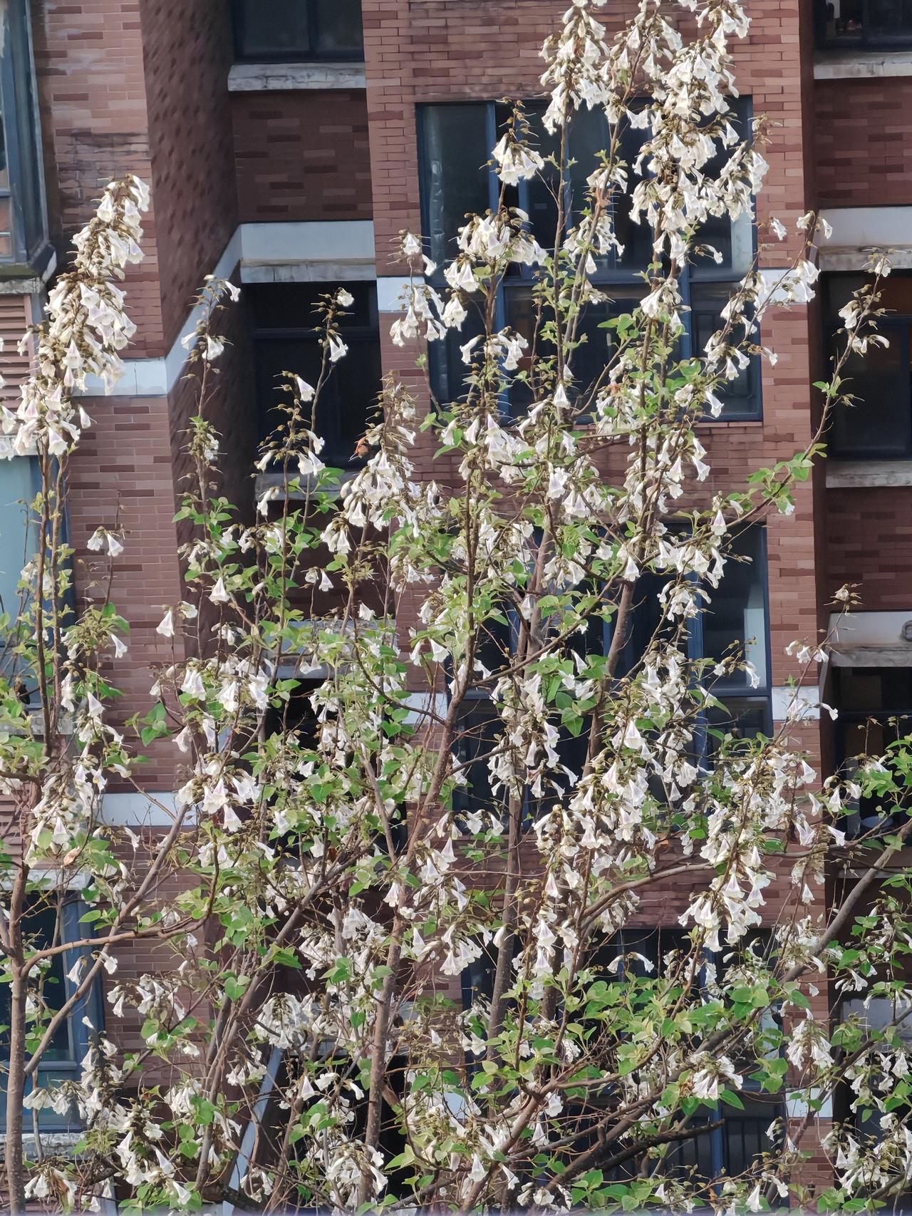 普通人结婚的前提是，一定要有说走就走的底气；手里有牌才能上桌玩，手里没牌就敢上桌