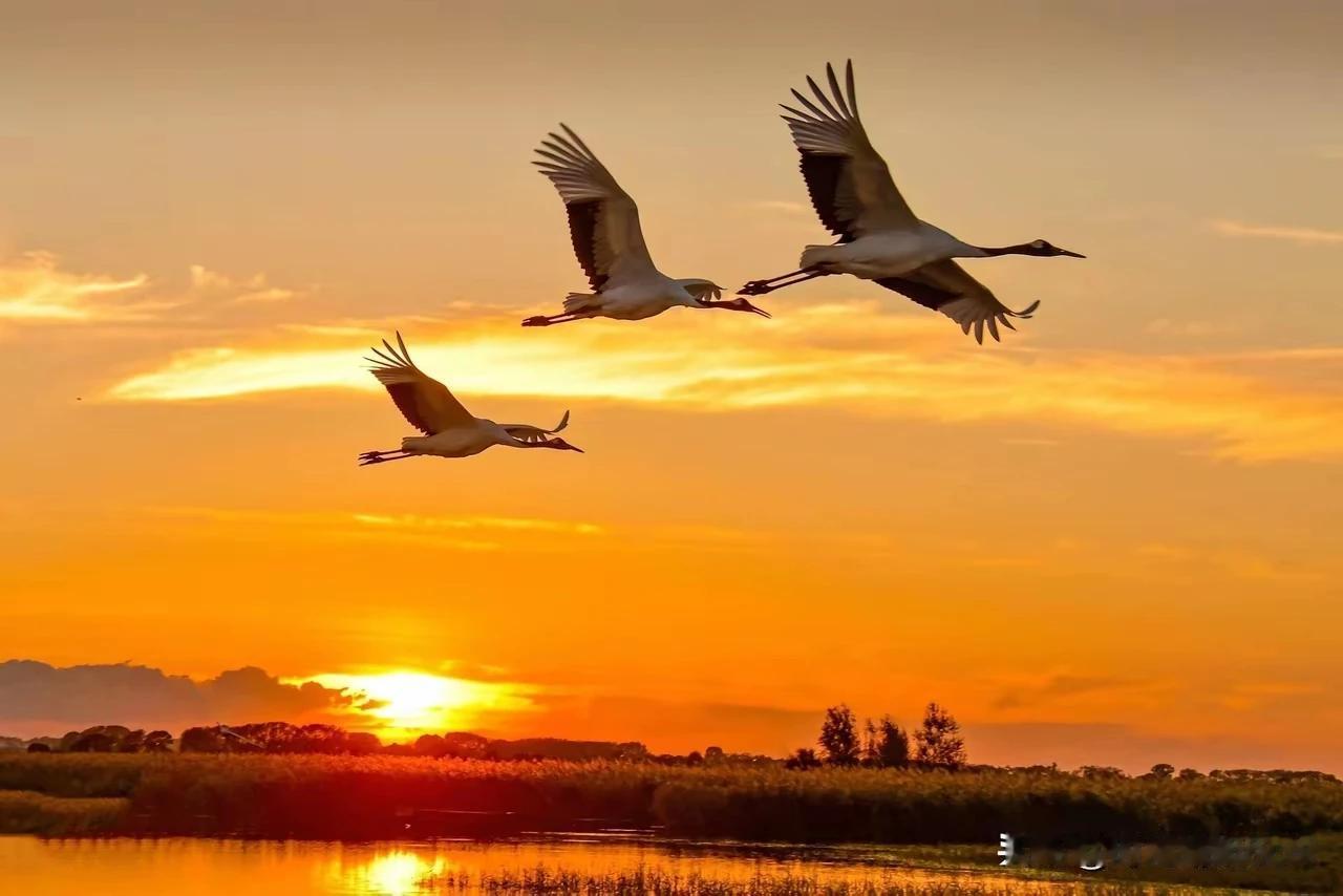 人生有风：春风得意马蹄疾
                     长风万里送秋
