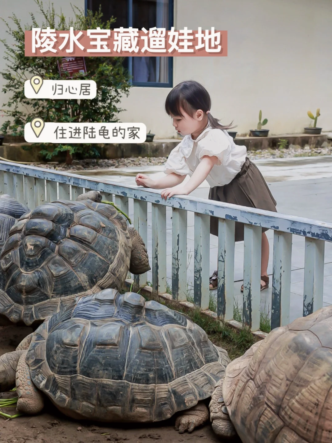 陵水亲子游✅｜发现一个可以撸乌龟的宝藏地～