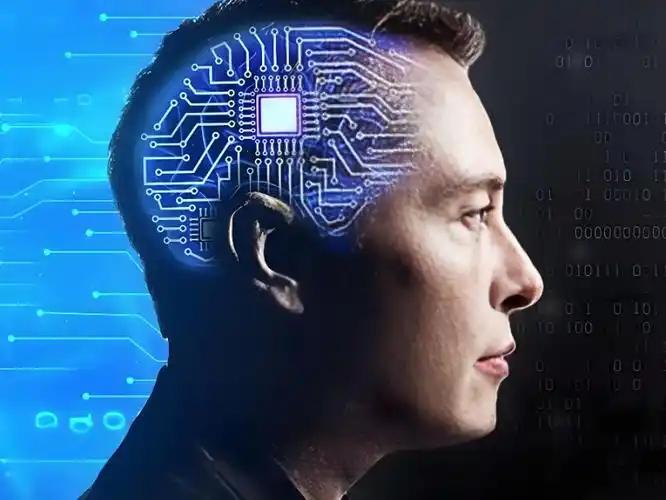 AI的发展与普通人的选择
       关于AI的发展，近日，马斯克发表了惊人的