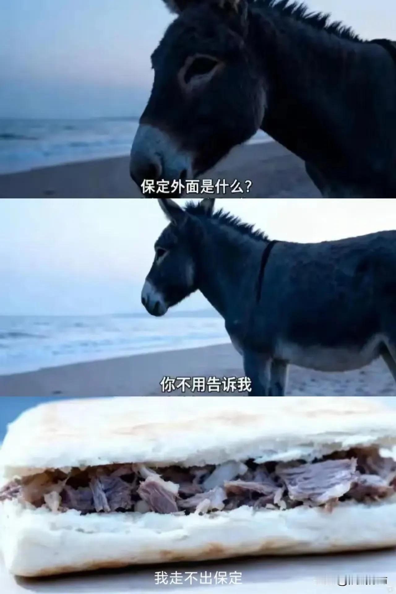 什么是宿命？不重构国际间的分配体系，不重构行业间的分配体系，不重构内部的分配体系