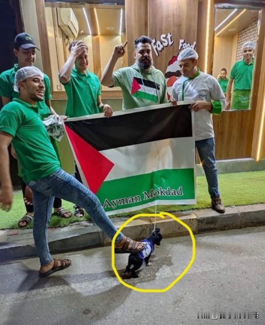 宣传要讲究分寸。一群仇恨以色列的巴勒斯坦人把以色列国旗披在小狗身上，然后踢了它，