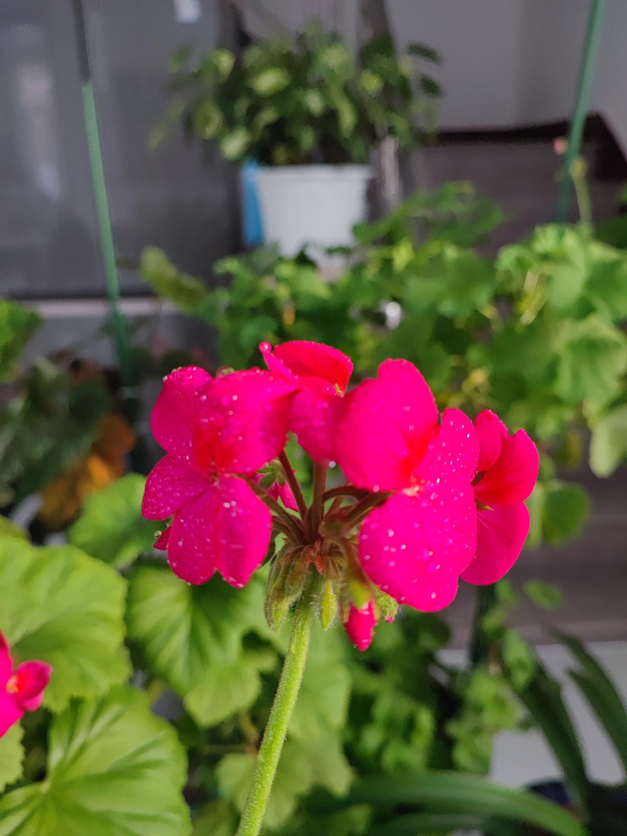 自己都不把自己当回事的人，
别期望别人能把你当回事！
朋友二婚过的憋屈又闹心，