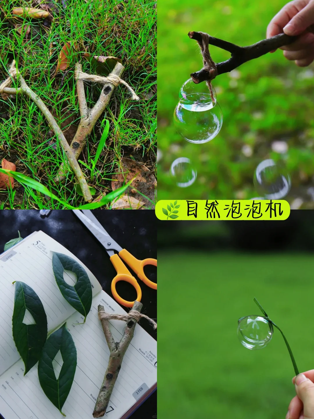 快来抄作业‼️用有趣的自然游戏解锁夏天