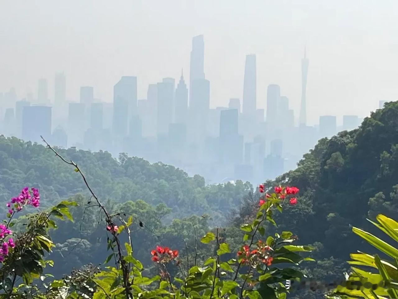 阳光下闪闪发光的我们！
今天是个偶遇的好日子，碰到几拨熟人，果然美女的日常都是一