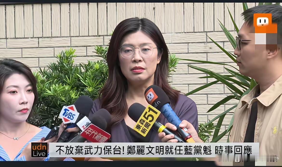 郑丽文接受外媒专访称，“不放弃武力保台的决心”，但两岸和平对台湾来讲才是最重要的