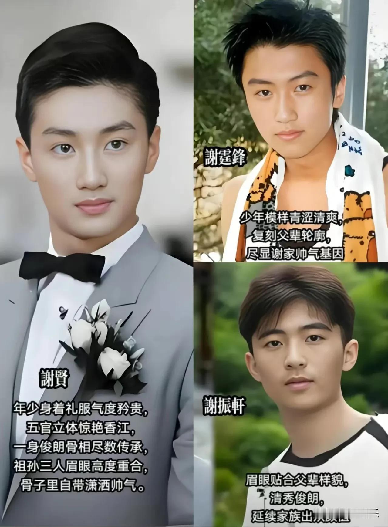 谢家三代男神同框，一脉相承的颜值太惊艳。
谢贤俊朗矜贵，自带旧香港风流气度；
谢