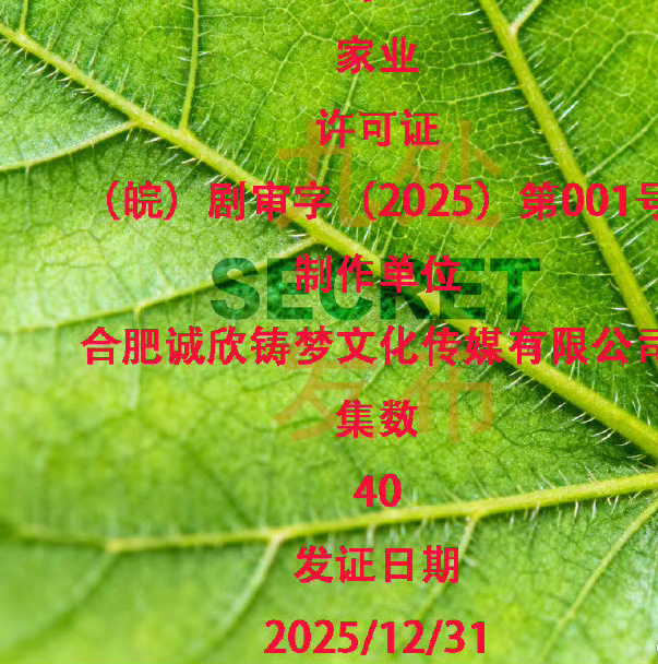 杨紫韩东君《家业》过审下证，我已经迫不及待了