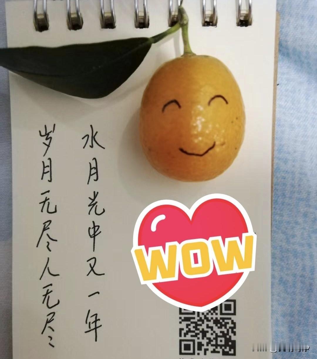 祝大家2026新年快乐，身体健康，阖家幸福，桔祥如意[万柿如意]！