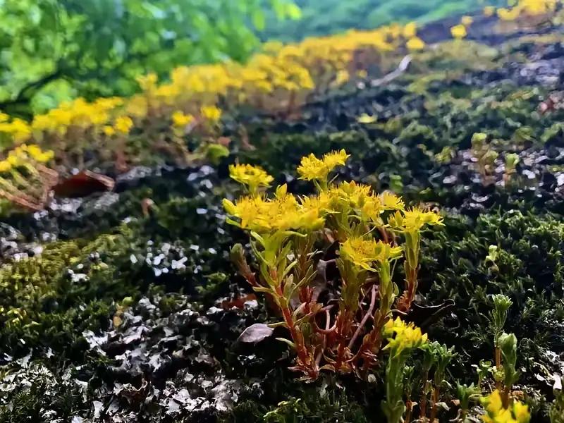 今日爆款文章《幸福不属于富人，也不属于穷人，而属于知足的人》

在这个快节奏、充