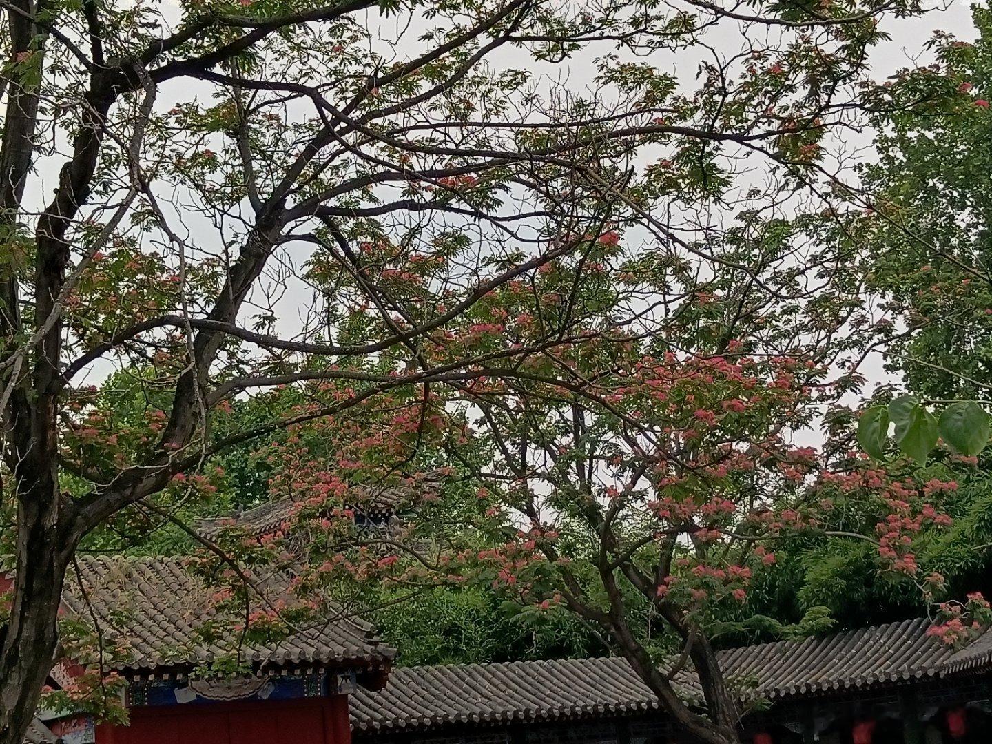 随手拍一路前行无非是为赏心悦目 