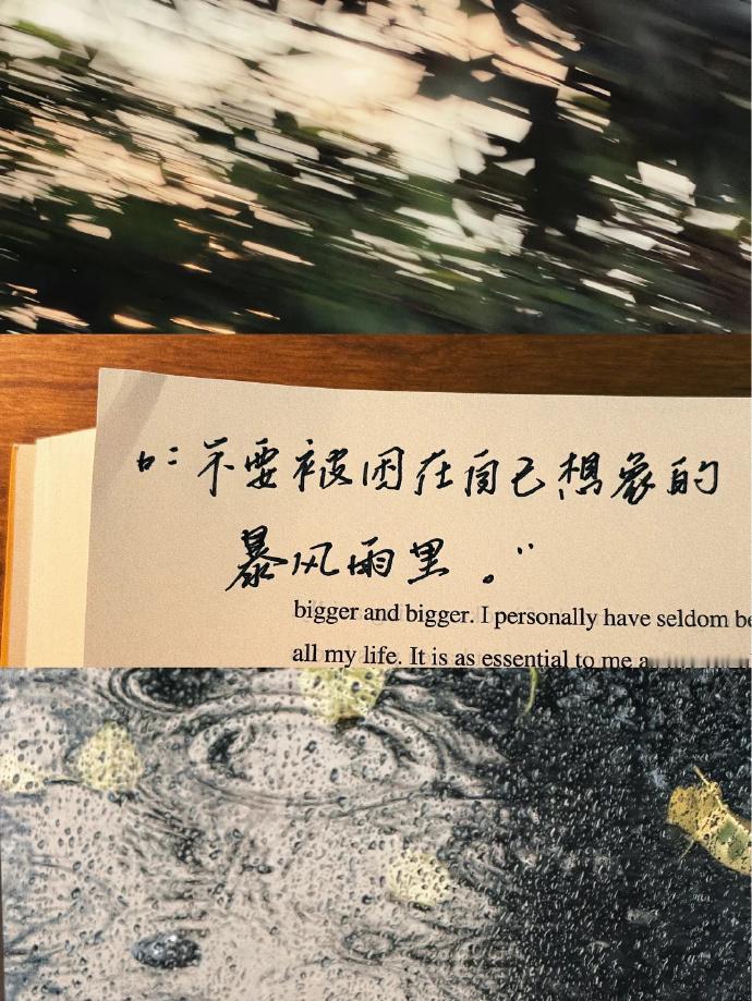 “不要被困在自己想象的暴风雨里” 
