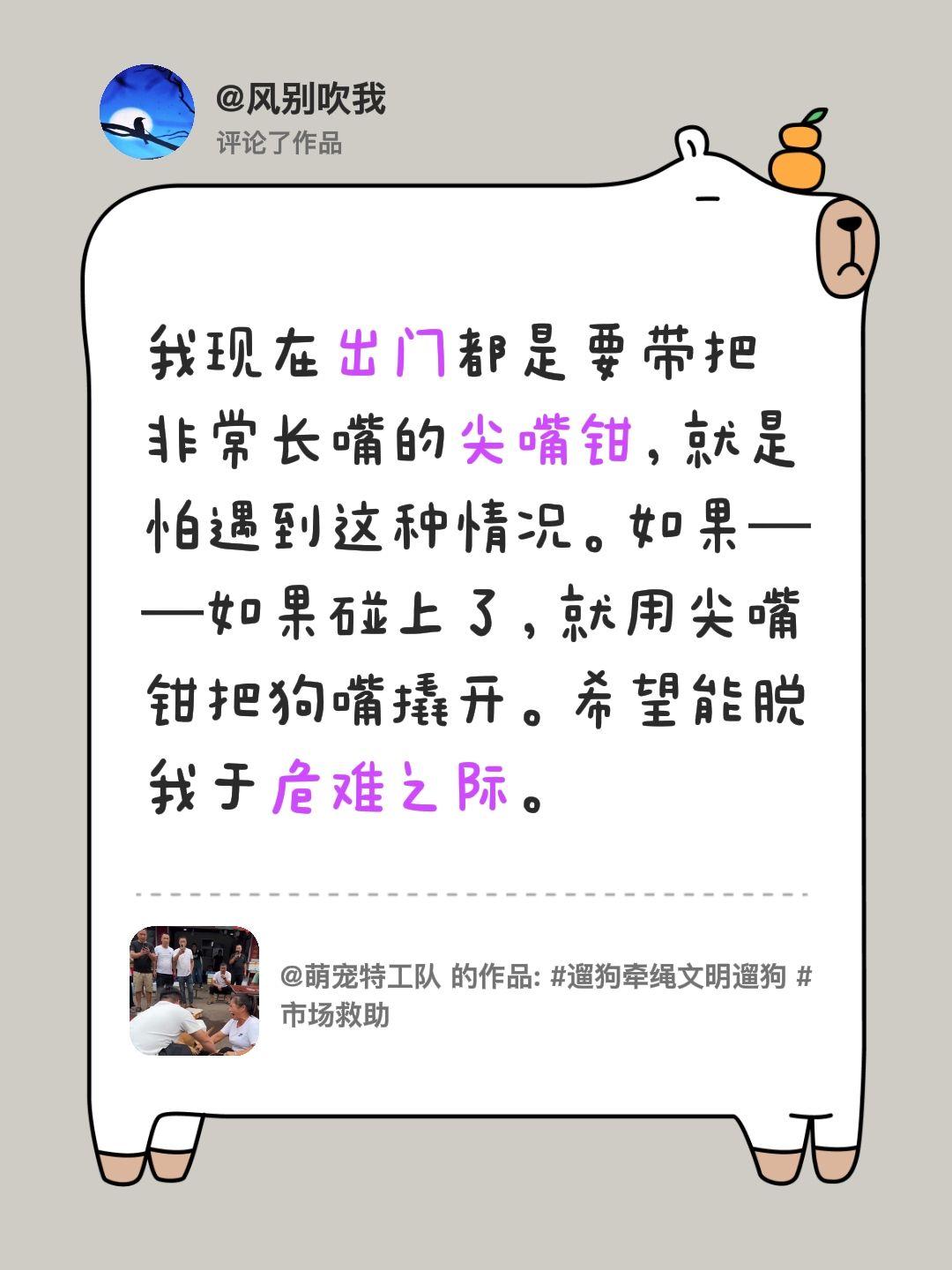 我评论了@萌宠特工队 的作品：
我现在出门都是要带把非常长嘴的尖嘴钳，就是怕遇到