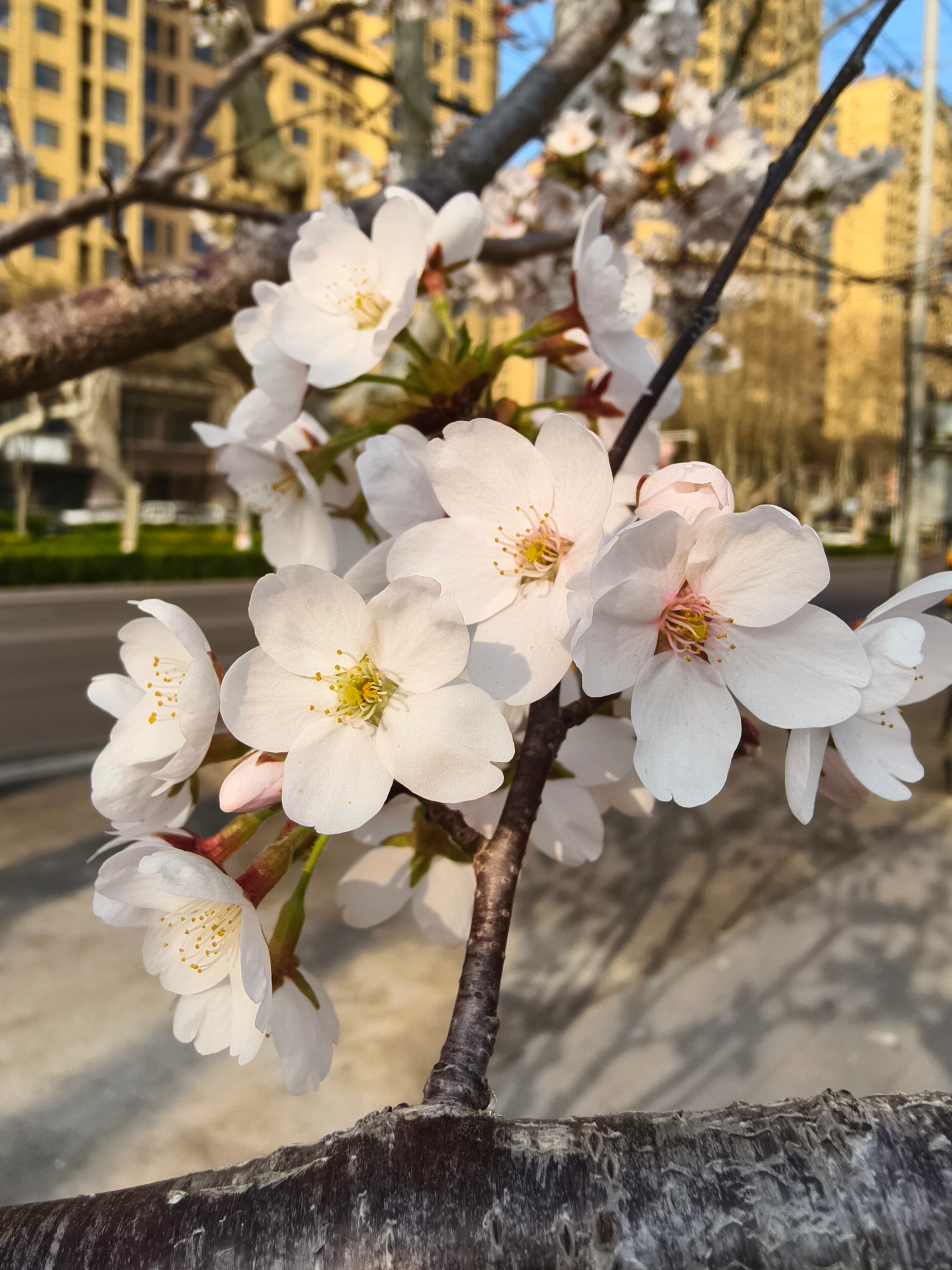 这瓜吃晚了。当事人直接下场撕，还是华语乐坛精彩。前几天是徐良和汪苏泷，今天是单依
